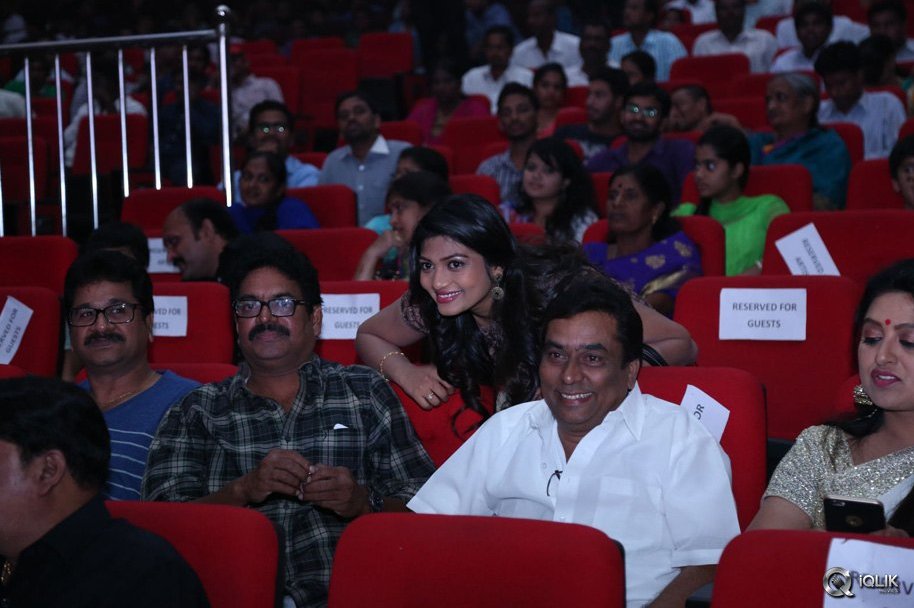 Srimanthudu-Movie-Thank-You-Function